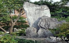 上海桂林公園旅遊攻略之太湖石