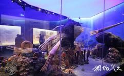 重慶自然博物館旅遊攻略之進化廳