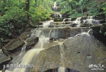 宏都拉斯雷奧普拉塔諾生物圈保留地-熱帶雨林照片