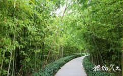 徐州金龍湖旅遊攻略之四季景園