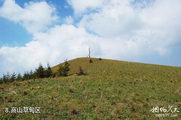 山西灵石红崖峡谷-高山草甸区照片