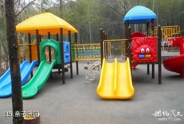 安庆莲洞国家森林公园-亲子乐园照片