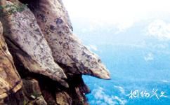 泰安徂徕山国家森林公园旅游攻略之双龟探海