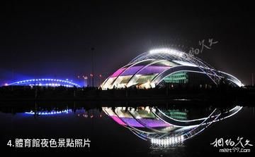 煙台市體育公園-體育館夜色照片