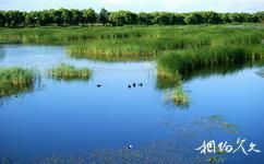 佳木斯富锦国家湿地公园旅游攻略之湿地