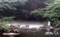九龍山國家森林公園旅遊攻略之龍泉洞