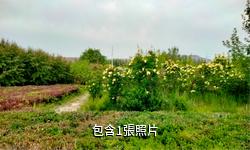烏魯木齊燕爾窩風景區驢友相冊