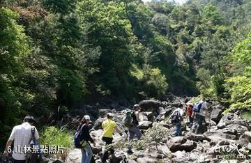 瑞安順泰青雲谷-山林照片