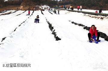 威海文登山泰生態園-戲雪區照片