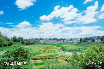 騰衝司莫拉佤族村景區-梯田照片