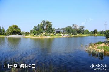 徐州泉山森林公园照片