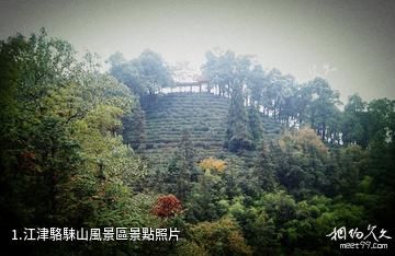 江津駱騋山風景區照片