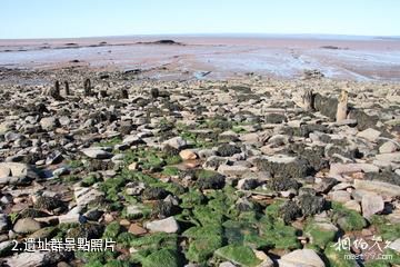 加拿大喬金斯化石斷崖-遺址群照片