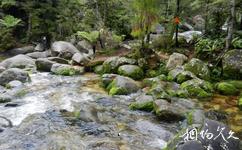 紐西蘭阿貝爾·塔斯曼國家公園旅遊攻略之埃及艷后池