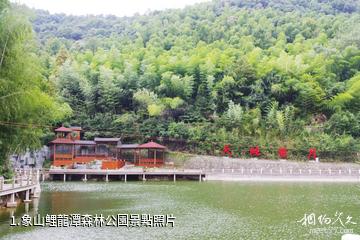 象山鯉龍潭森林公園照片