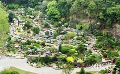 上海辰山植物園旅遊攻略之岩石和藥用植物園
