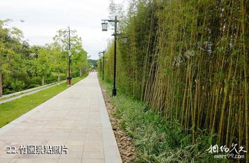 廣東神光山國家森林公園-竹園照片