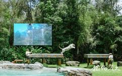 澳大利亚梦幻世界主题公园旅游攻略之老虎岛