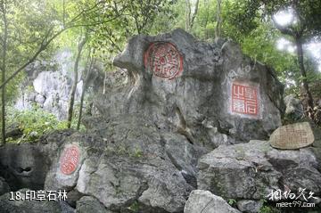 湖南天堂山国家森林公园-印章石林照片