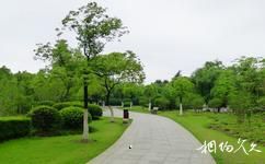 上海淞南公园旅游攻略之园路