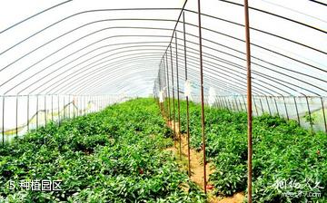 张家口假日绿岛景区-种植园区照片