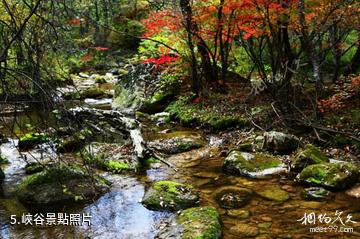 丹東鳳城雞冠山景區-峽谷照片