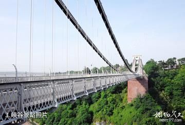 布里斯托克里夫頓弔橋-峽谷照片