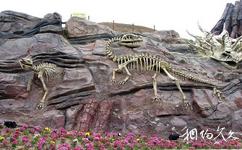 吉木萨尔天地园旅游攻略之化石墙