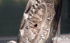 南京市博物馆旅游攻略之镜华流光—扬州博物馆藏汉唐铜镜展