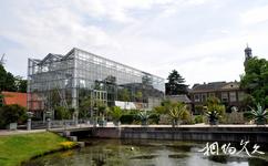 荷兰莱顿市旅游攻略之植物园