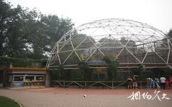 北京动物园旅游攻略之金丝猴馆