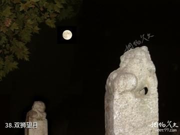 华中农业大学-双狮望月照片