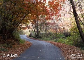 通化市白鸡腰国家森林公园-秋日风景照片