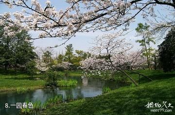 郯城新村银杏园-一园春色照片