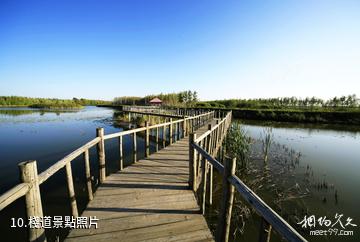 大慶黑魚湖生態景區-棧道照片