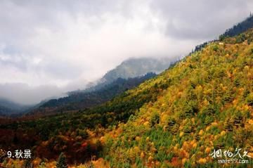 陕西长青国家级自然保护区-秋景照片