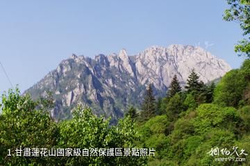 甘肅蓮花山國家級自然保護區照片