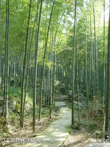 赤壁玄素洞-翠竹林照片