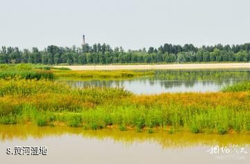济南百里黄河风景区-黄河湿地照片