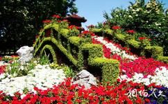 烏魯木齊植物園旅遊攻略之花卉雕塑