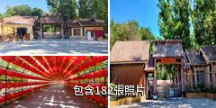阿勒泰樺林公園驢友相冊