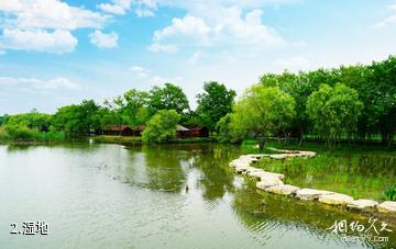 扬州凤凰岛生态旅游区-湿地照片