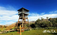 新疆烏什沙棘林濕地公園旅遊攻略之瞭望塔