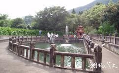 蓬壶仙洞普济旅游攻略之月池