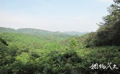 河南董寨国家级自然保护区旅游攻略