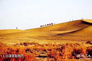 和田大漠胡楊林旅遊區-沙漠照片