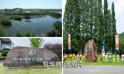 下渚湖国家湿地公园驴友相册