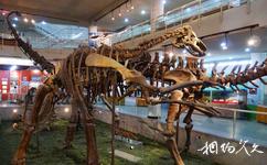 中國古動物館旅遊攻略之古爬行動物和古鳥類展廳