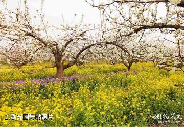 晉州周家莊農業特色觀光園-觀光園照片