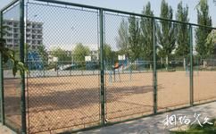 甘肃农业大学校园概况之沙滩排球场